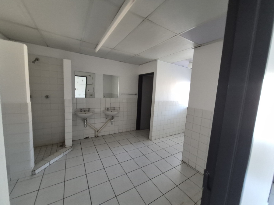 To Let Commercial Property for Rent in Paarden Eiland Western Cape